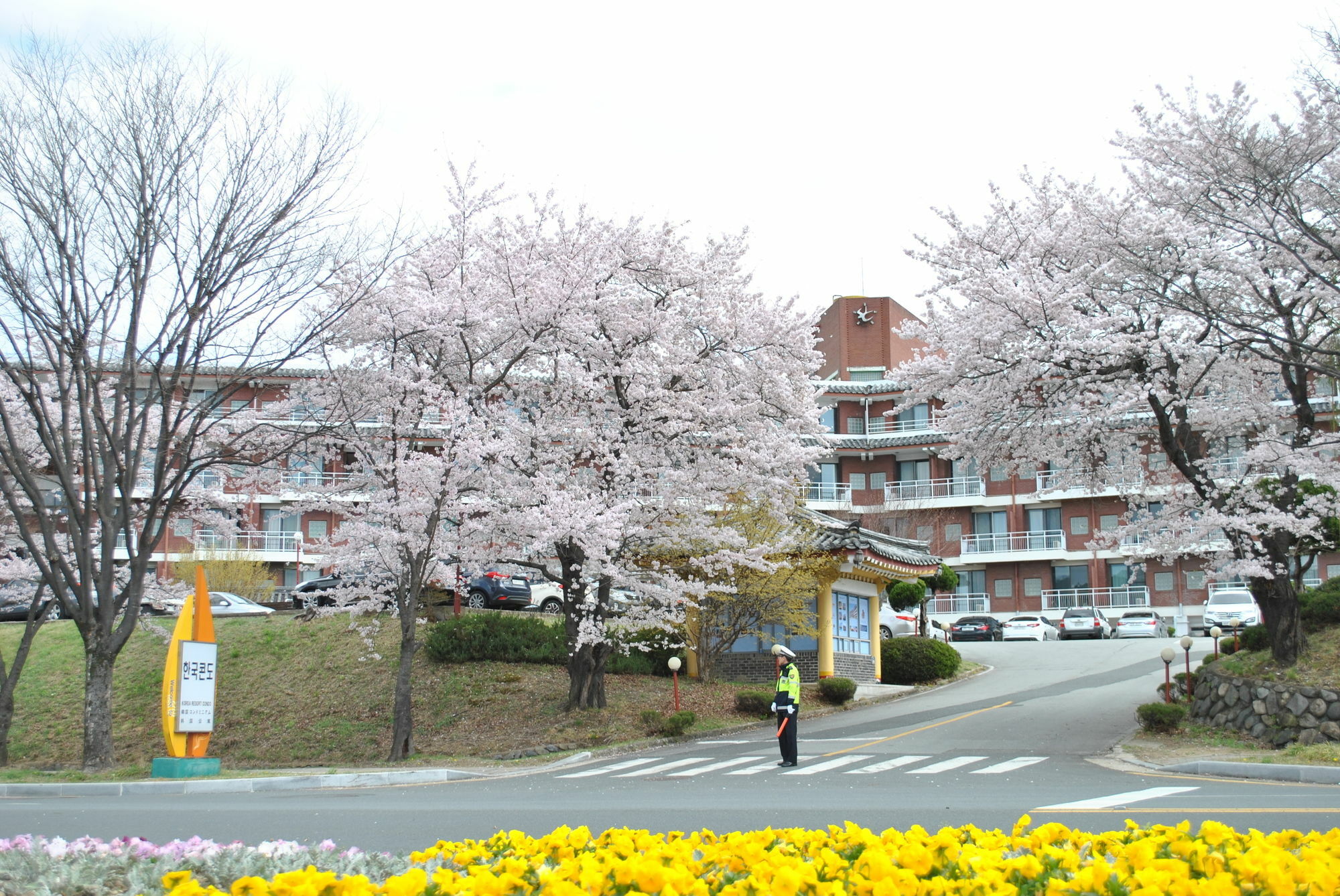 Corea Condo Gyeongju Exterior photo