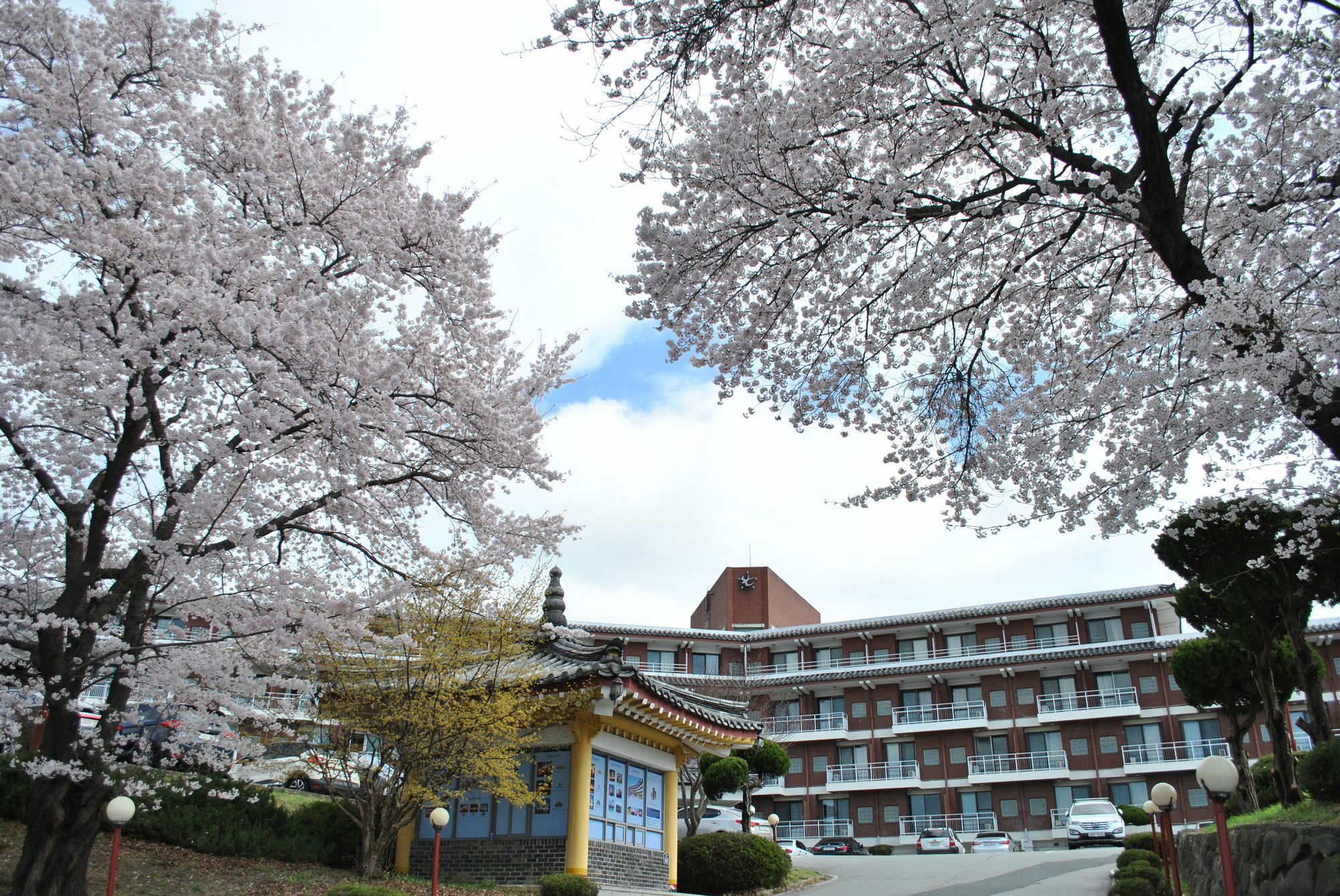 Corea Condo Gyeongju Exterior photo